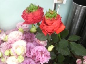 個性的なバラ**エキサイティングメイアン、パーティーラナンキュラ！！｜「花清」　（三重県桑名市の花キューピット加盟店 花屋）のブログ