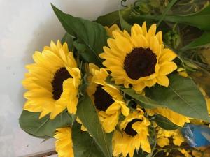 父の日に、お花を贈ろう！｜「花清」　（三重県桑名市の花キューピット加盟店 花屋）のブログ